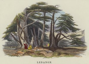 Liban