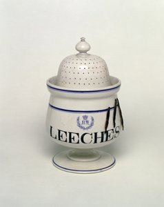 Pot à sangsues