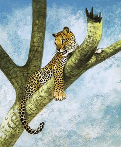 Léopard dans un arbre (gouache sur papier)