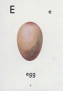 Lettre E, œuf