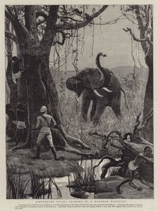 Le lieutenant Stairs chargé par un éléphant blessé - English School