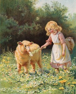 Petite fille nourrissant une fleur à un mouton dans un pré - English School