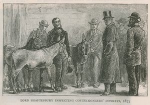 Lord Shaftesbury inspectant les ânes des costermongers - English School