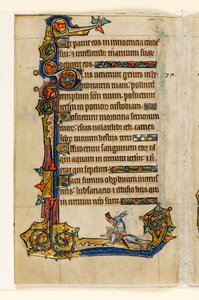 Un lapin chevauchant un chien, chasse, décoration marginale du Psautier de Macclesfield, Usage de Sarum, East Anglia, vers 1330 - English School