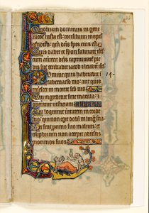 Le médecin-singe et son patient-ours, décoration marginale du Psautier de Macclesfield, Usage de Sarum, East Anglia, vers 1330