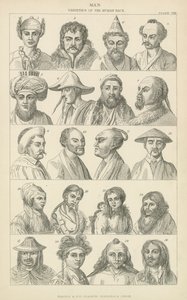 Homme. Variétés de la race humaine - English School