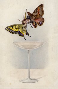Homme et femme, en papillons, planant au-dessus d