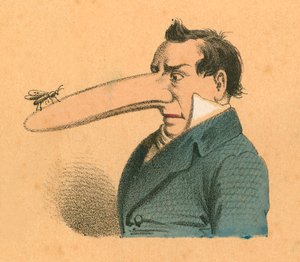 Homme avec une mouche au bout de son long nez