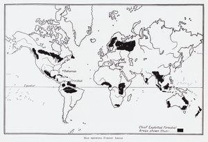 Carte montrant les zones forestières - English School