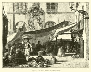Marché sur la Piazza di Pescheria - English School