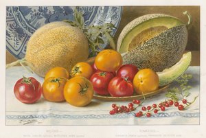 Melons et tomates - English School