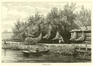 Réparation des filets - English School