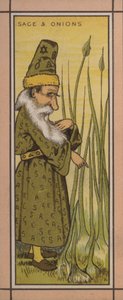 Illustration de menu : Sauge et oignons - English School