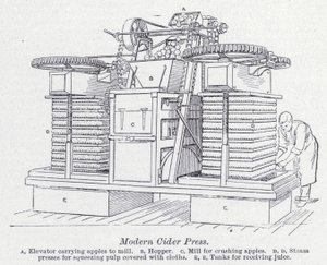 Presse à cidre moderne