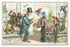 Singes pickpockets au zoo