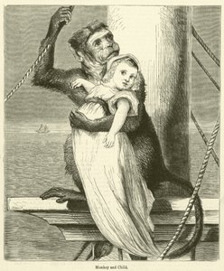 Singe et enfant (gravure) - English School