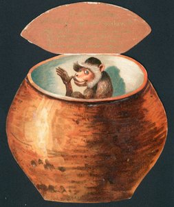 Singe dans un pot - English School