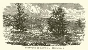Montagnes du Liban, Osée, xiv, 5 - English School
