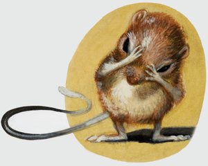 Souris