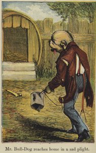 M. Bull-Dog rentre chez lui dans un triste état - English School