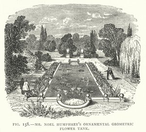 Réservoir de fleurs géométriques ornementales de M. Noel Humphrey - English School
