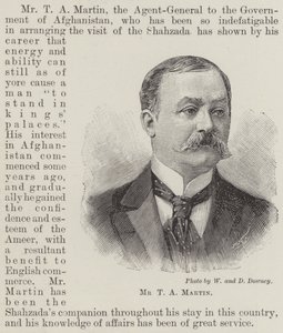 M. T A Martin (gravure) - English School