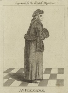 M. Voltaire - English School