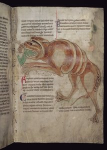 Ms.254 f.24 r Cocodrillus avalant un homme
