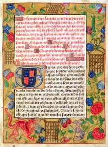 Ms 261 fol.1r Page d