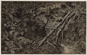 Bois de Mulgrave, près de Whitby - English School
