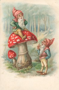Champignon avec des gnomes