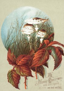 Champignons et feuilles, carte de Noël