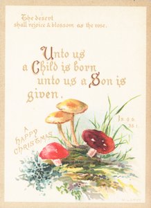 Champignons, Carte de Noël - English School