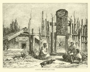 Maison et Pah Natives
