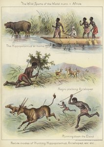 Modes de chasse indigènes - English School