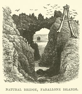 Pont naturel, Îles Farallon - English School