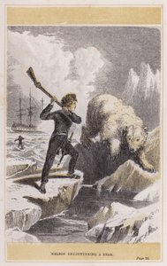 Nelson rencontrant un ours - English School