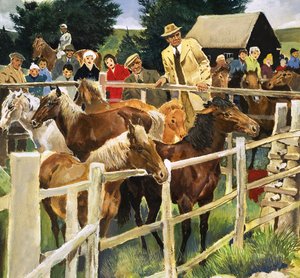 Poneys de la Nouvelle Forêt à vendre, illustration tirée de "Wonders of Nature" (Merveilles de la nature)