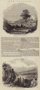 Nouvelle-Zélande (gravure)