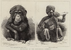 Nouveautés au jardin zoologique - English School