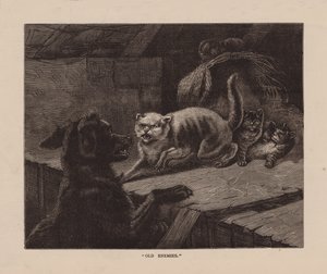 "Vieux ennemis" (gravure) - English School