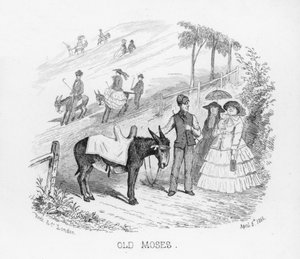 Vieux Moïse