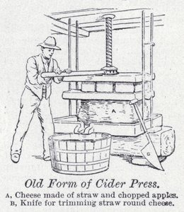 Ancienne forme de presse à cidre