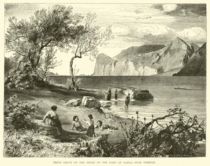 Oliveraie sur le rivage du lac de Garde, près de Torbole - English School