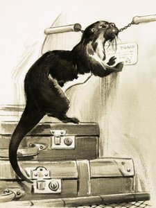 Loutre arrêtant le train - English School