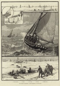 Nos industries de la pêche : Dragage des huîtres à Whitstable
