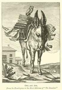 Chouette et âne - English School