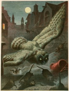 Chouette chassant des rats - English School