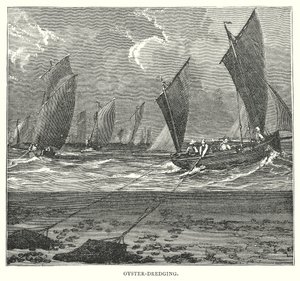 Dragage des huîtres (gravure)
