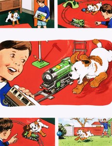 Paddy Paws - English School